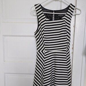 Express Striped Skater Dress